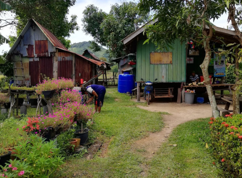 Homestay in Thailand bei Einheimischen