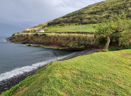 die grünen Vulkaninseln der Azoren